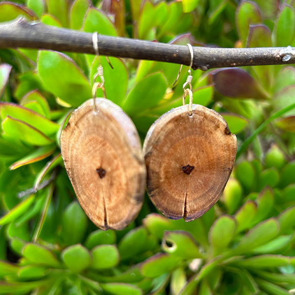 medium sized knotted wood dangle earrings 4135